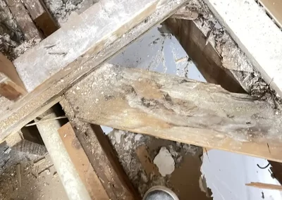 Remodeler